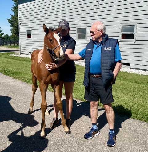 Hank Nothhaft with the foal Hannothenavigator, a Justify colt out of Living the Life, at six weeks old