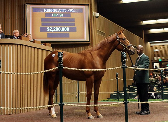 Allah Maak standing in the Keeneland sales ring as Hip 91, with the auction board above him showing $2,200,000