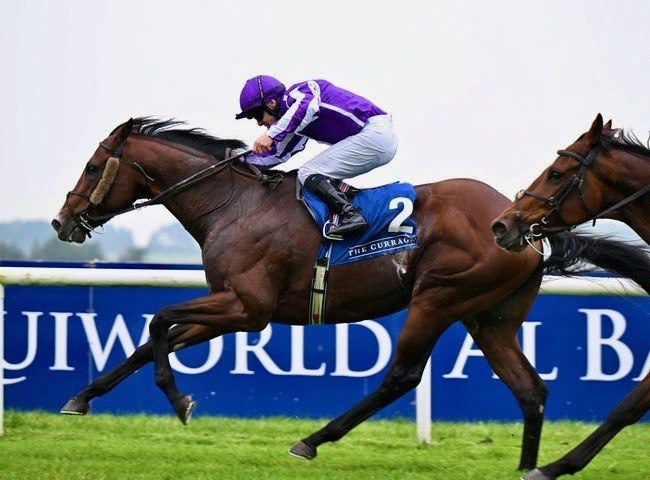 Appeared winning at the Curragh