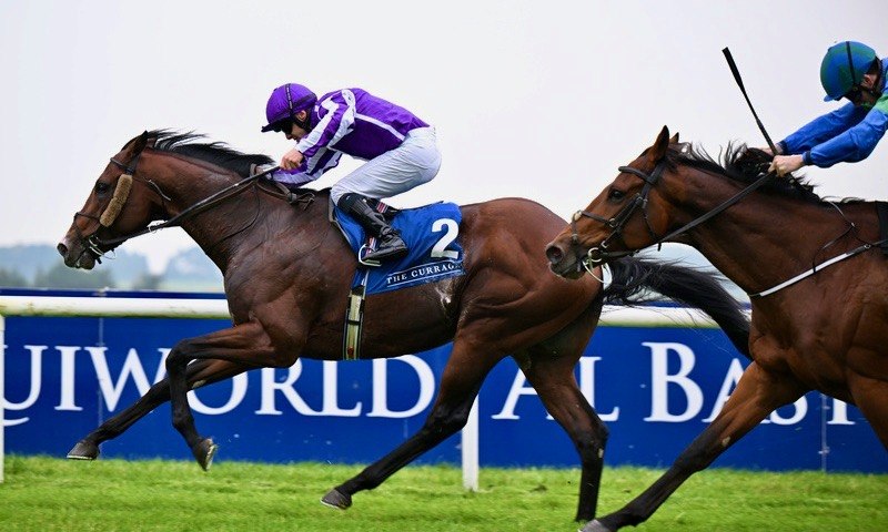 Appeared winning at the Curragh