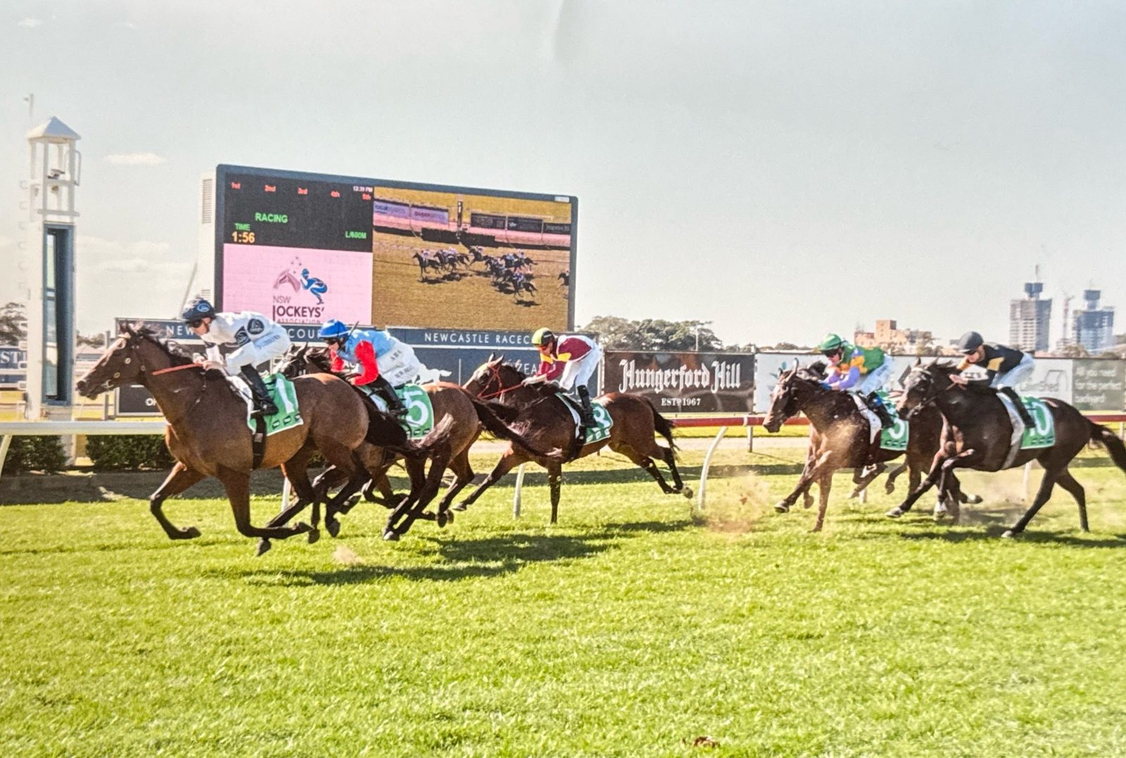 Appeared leading the field up the Newcastle straight