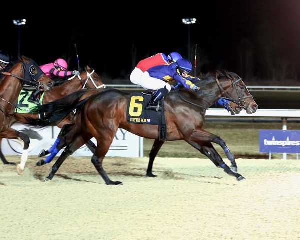 Made in America winning the Forego Stakes at Turfway Park
