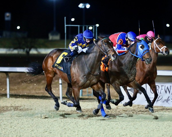 Made in America winning the Forego Stakes at Turfway Park
