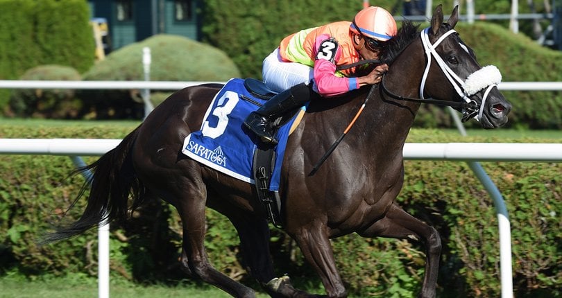 Daddy Is a Legend winning the Lake George Stakes at Saratoga