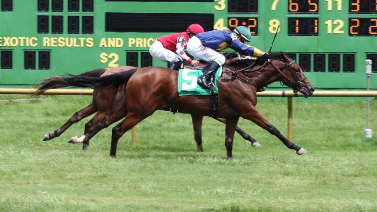 Envied battling to the wire under HnR Nothhaft Horse Racing silks