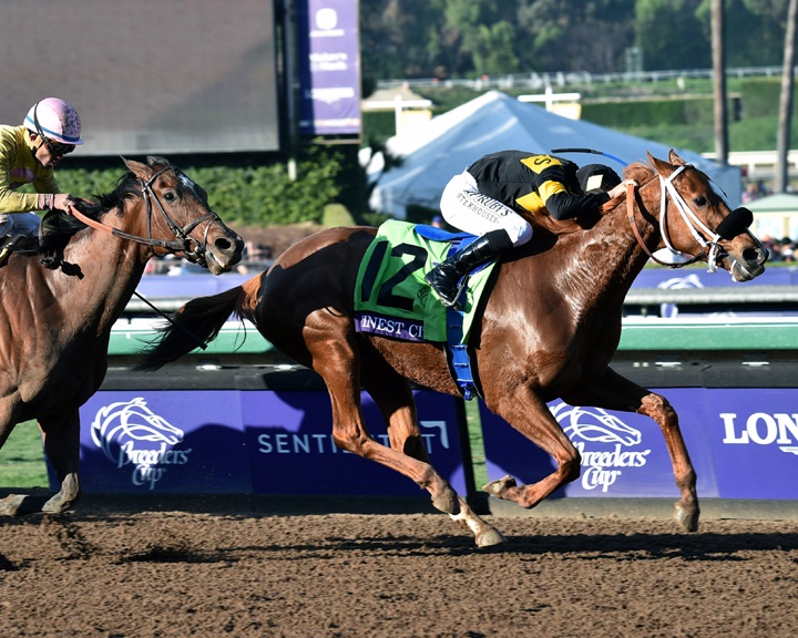 Finest City winning the 2016 Breeders' Cup Filly & Mare Sprint