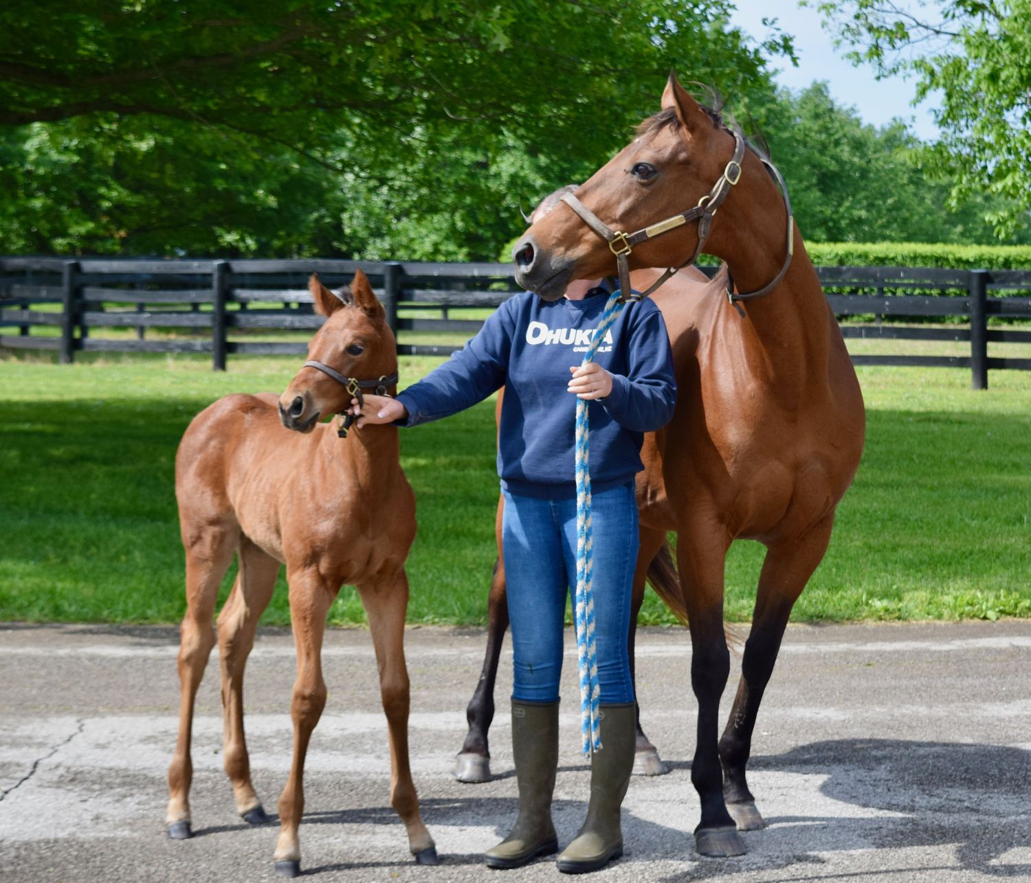 Kindle with her 2026 Quality Road filly