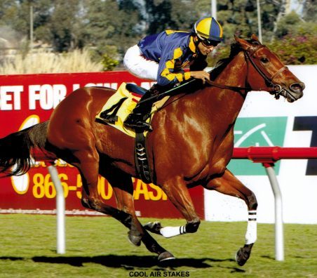 Kindle winning the Cool Air Stakes