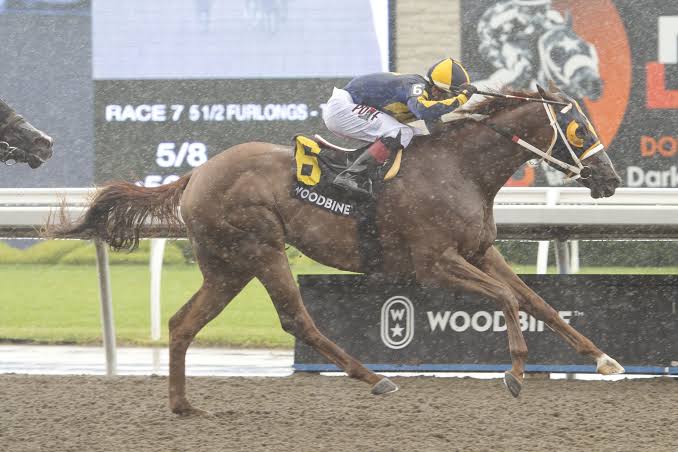 Living Magic winning the My Dear Stakes at Woodbine