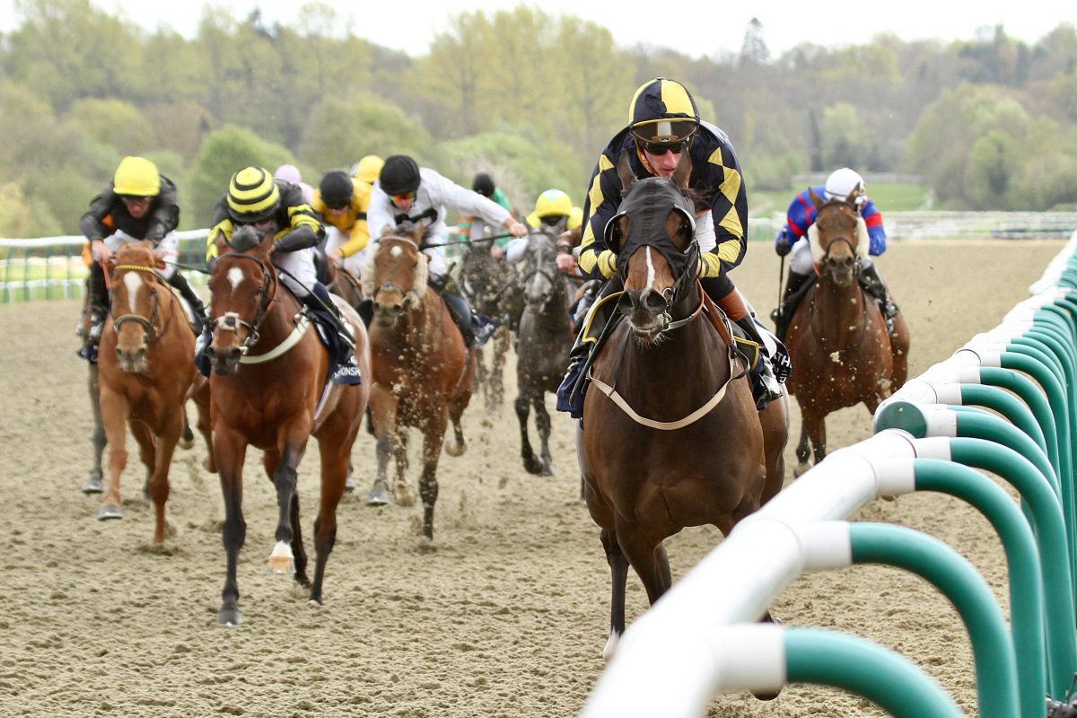 Living the Life racing in England, 2014