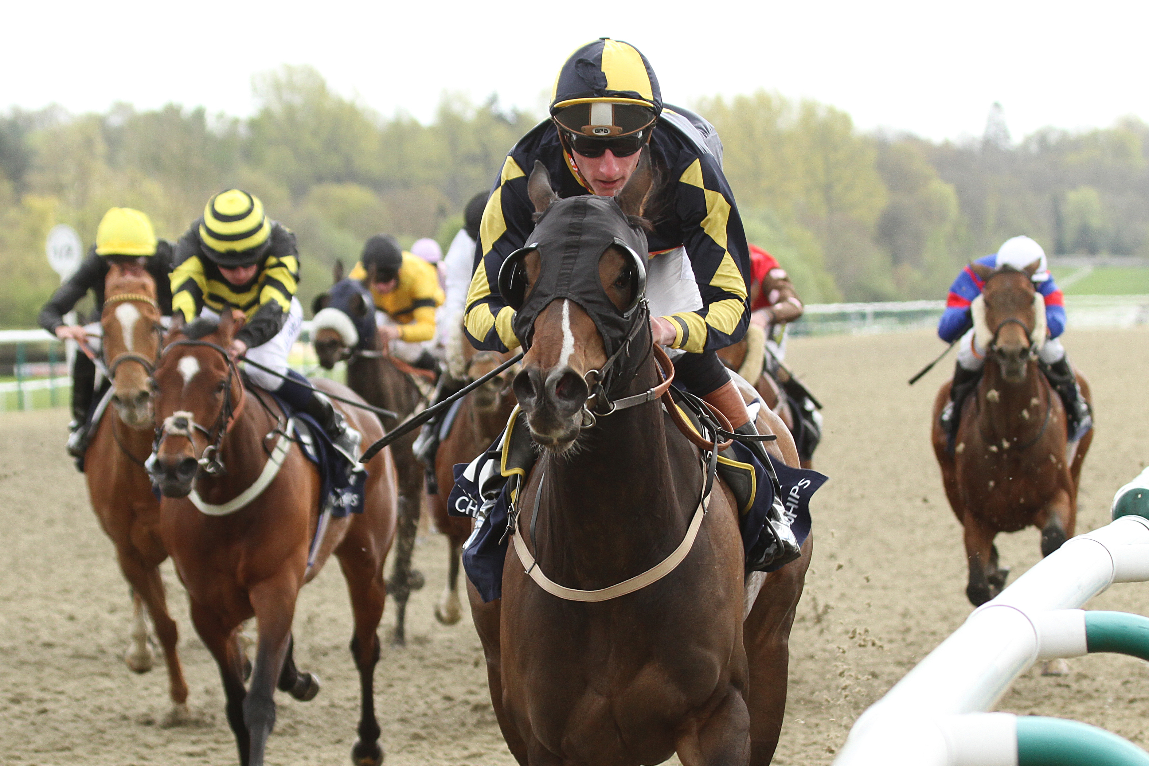 Living the Life racing in England, 2014