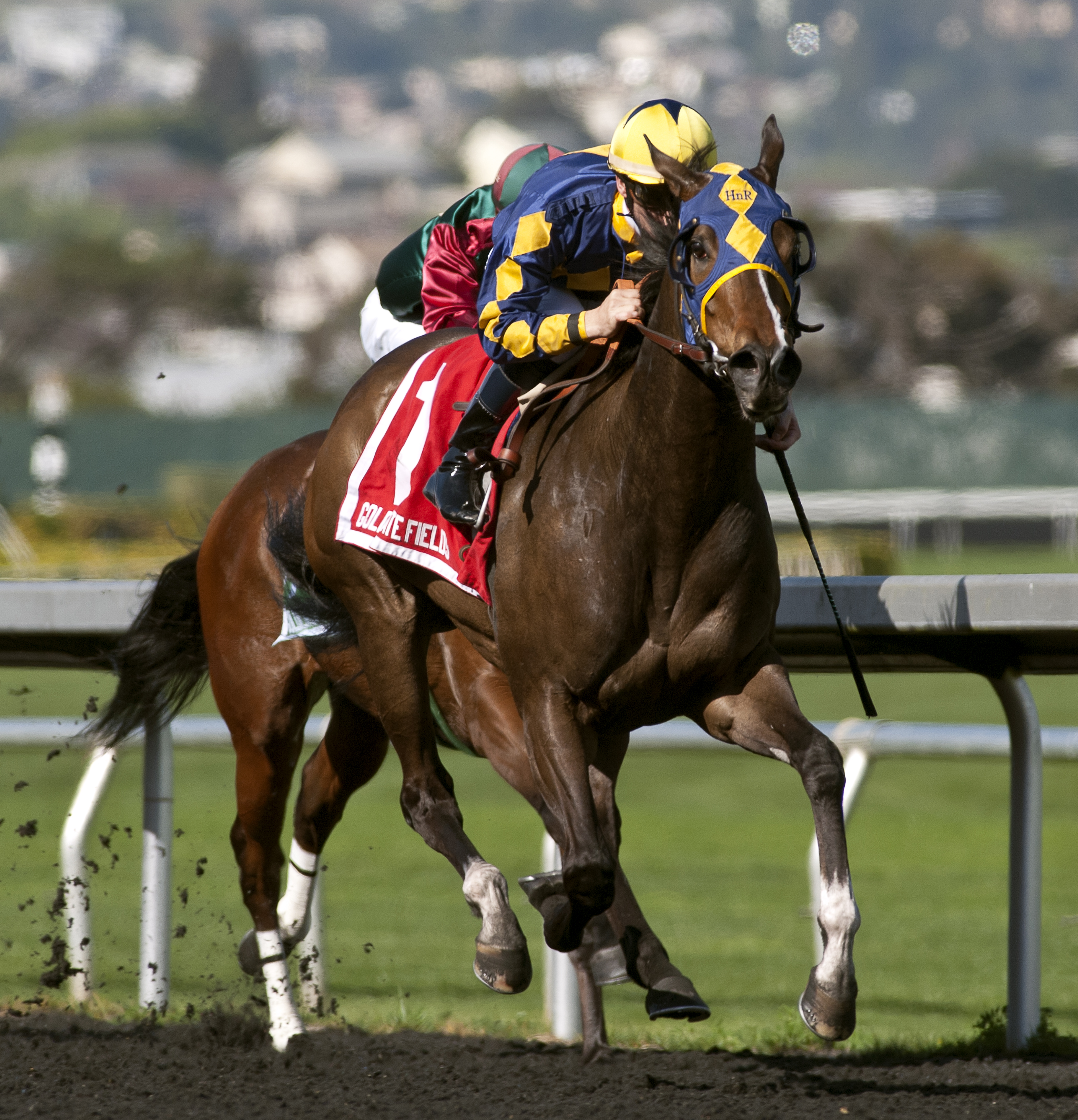 Living the Life winning at Golden Gate Fields