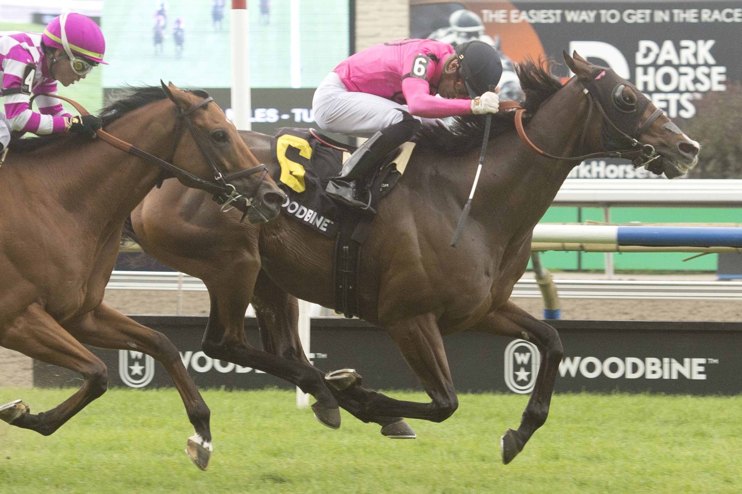 Palazzi winning at Woodbine