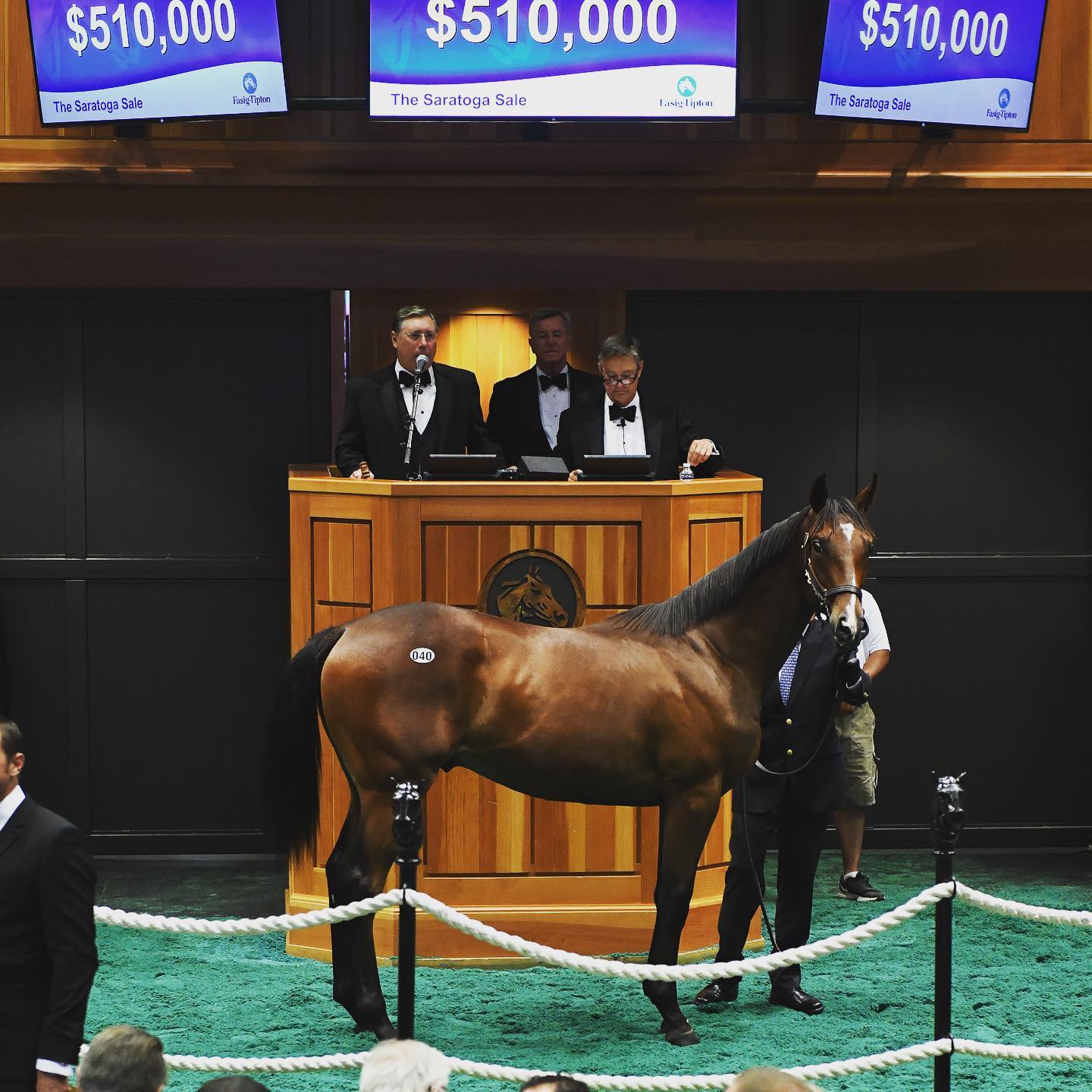 Palazzi selling for $510,000 at the Fasig-Tipton Saratoga yearling sale in 2019