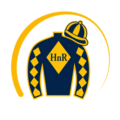HnR silks
