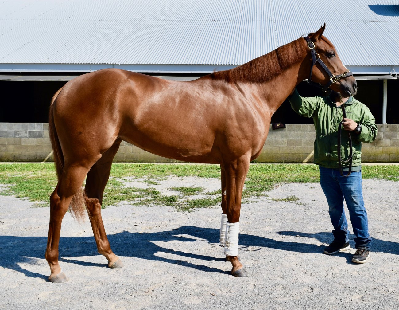 Neuromap at Keeneland