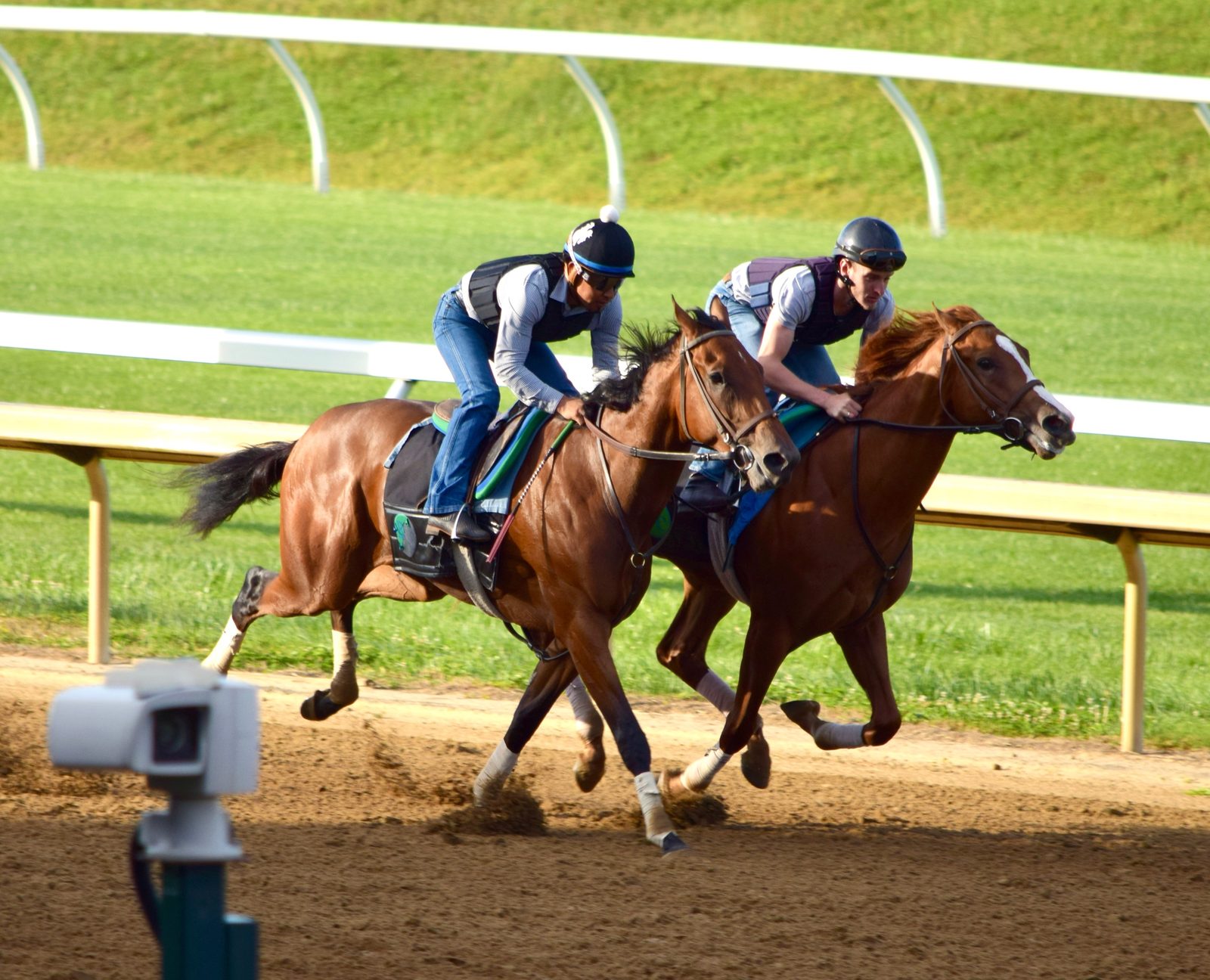 Neuromap, inside, working in company at Keeneland