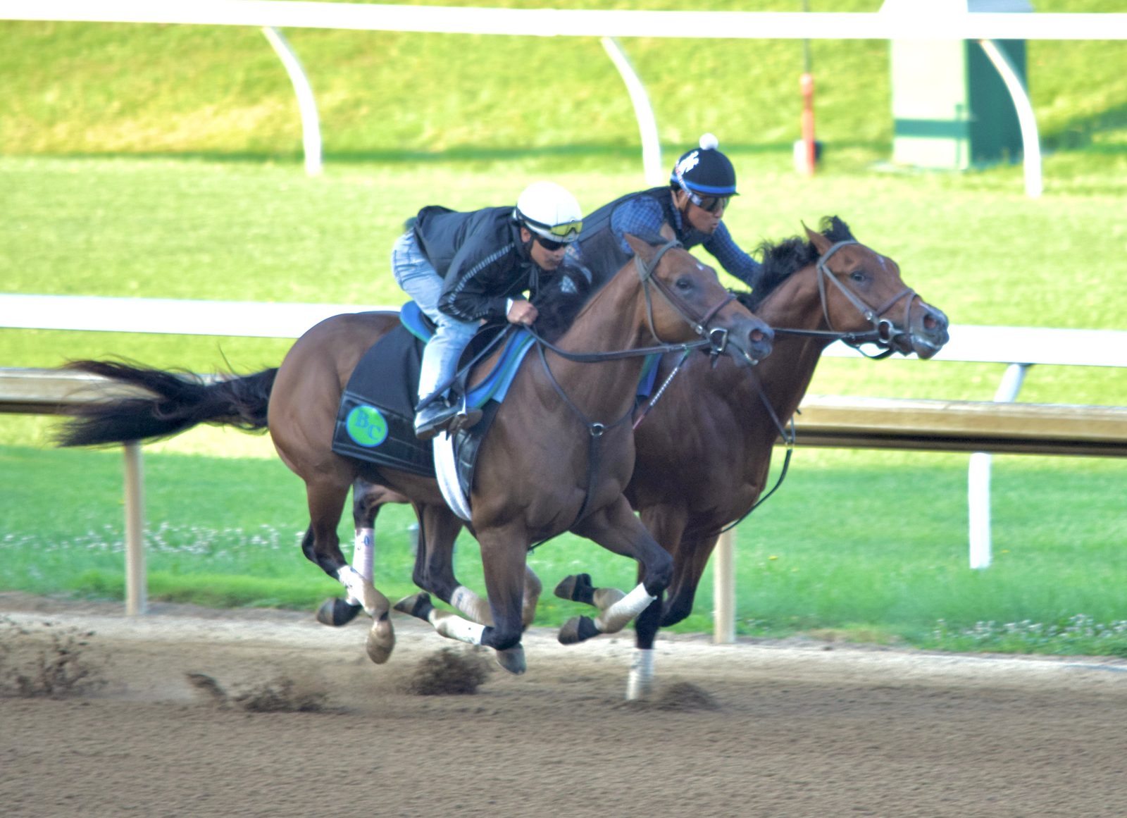 Puunene, outside, breezing in company at Keeneland
