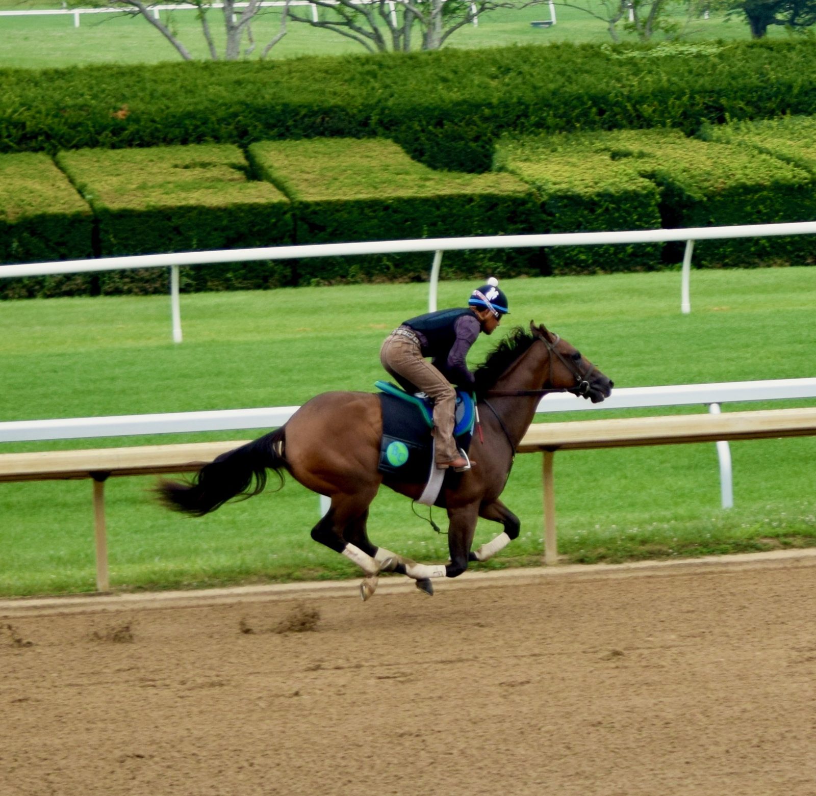 Puunene working at Keeneland