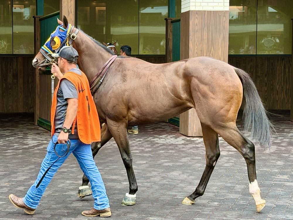 Paddock at Churchill Downs