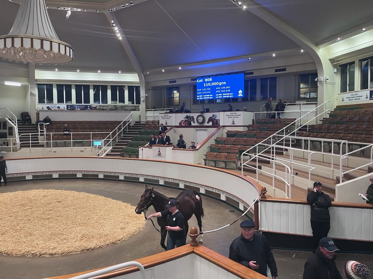 In the ring at Tattersalls