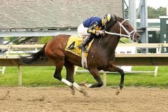Bettys Storm PARX6 Aug 24 2014