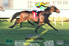 Good Win Photo action w idents22