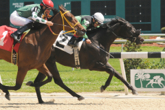 3-17-12-R2-Sugadadeze-1