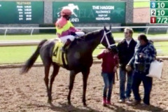 Daddy-is-a-Legend-wins-KN8