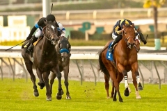 Kindle Mizdirection Monrovia Stakes