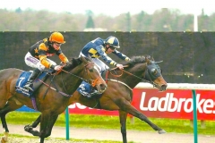 Living the Life Winning HC Race @ Lingfield Park