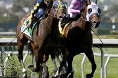 Living the Life wins the Great American Stakes Drayden Van Dyke up