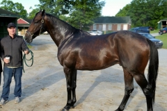 Mister Nofty (PA) Keith Nations Delaware Park 2017