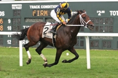 Mister Nofty (PA) Winning @ Parx