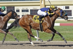 Penn National, Penn Mile day, 6/3/17; Grand Prix (Javier Castellano) with Rose Tree (#5) second.
