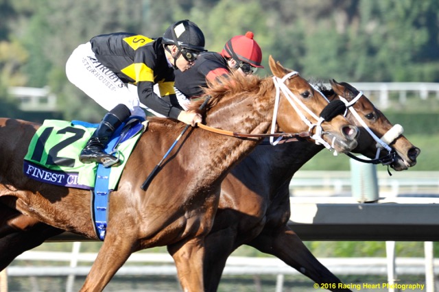 Finest City Surges to Win Breeders Cup Photo Kevin Kraynak