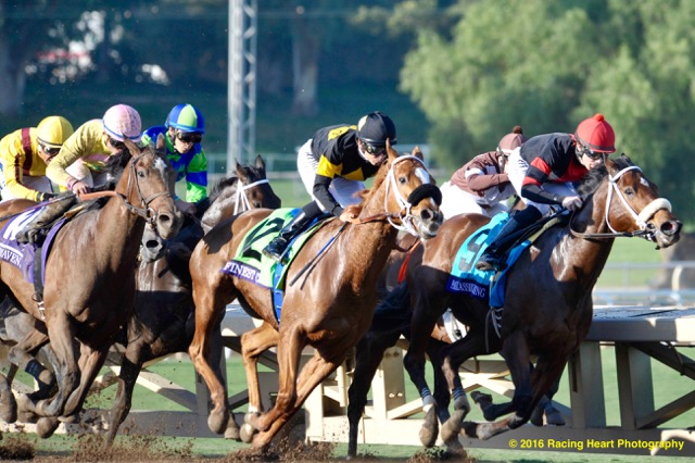 Finest City Moves to take Decisive Lead in Breeders' Cup F & M Sprint