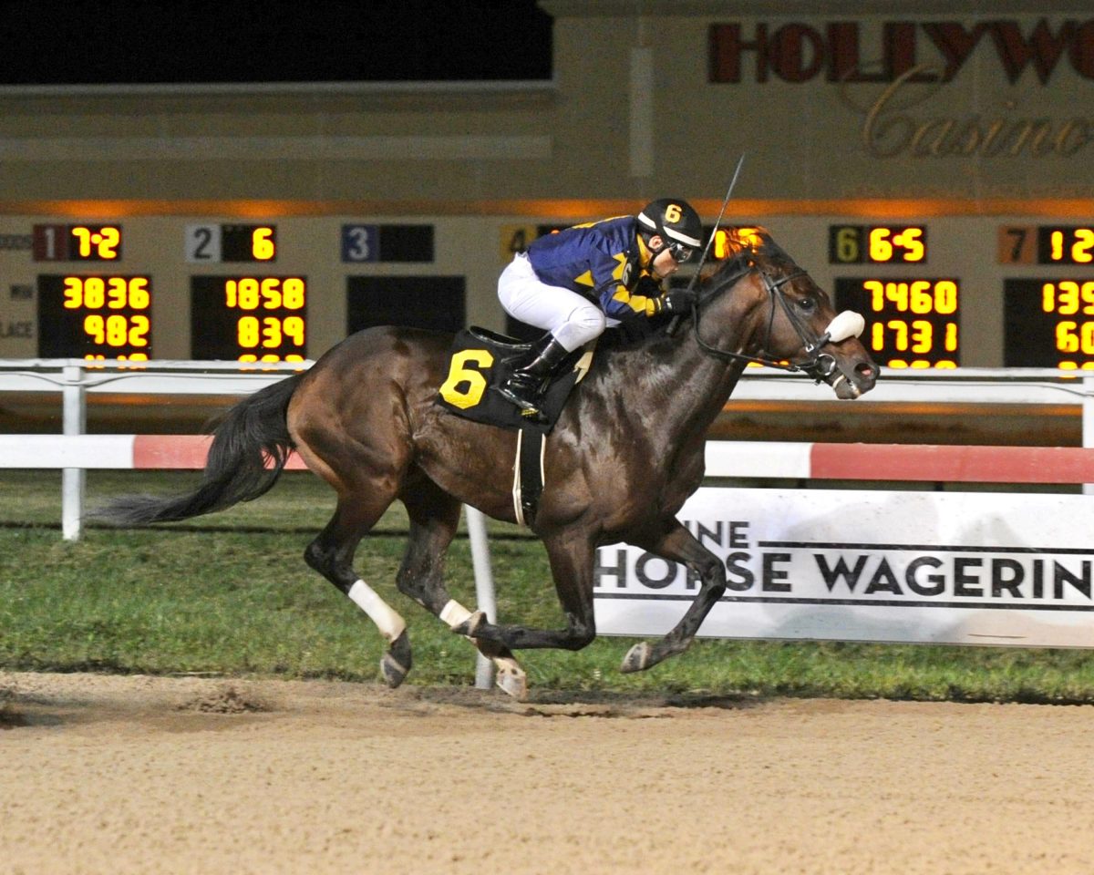 HnR’s Mister Nofty (PA) Runs to Front for 5th Career Win