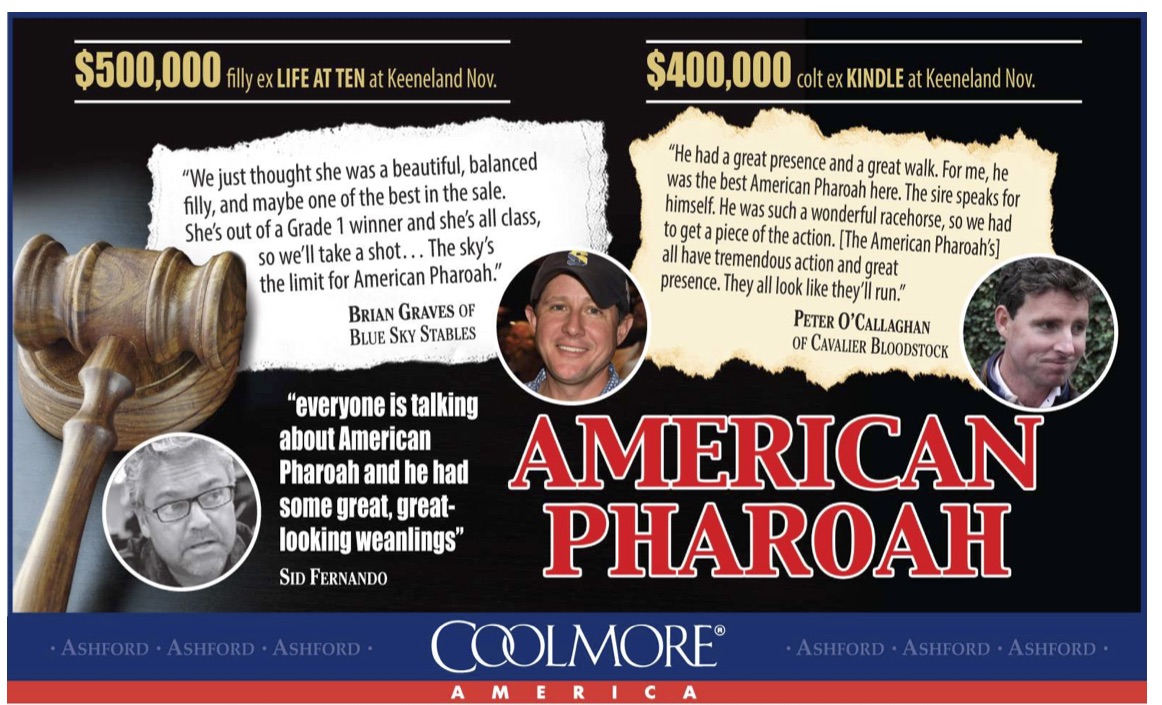 HnR’s Kindle’s American Pharoah colt featured in Coolmore Ad