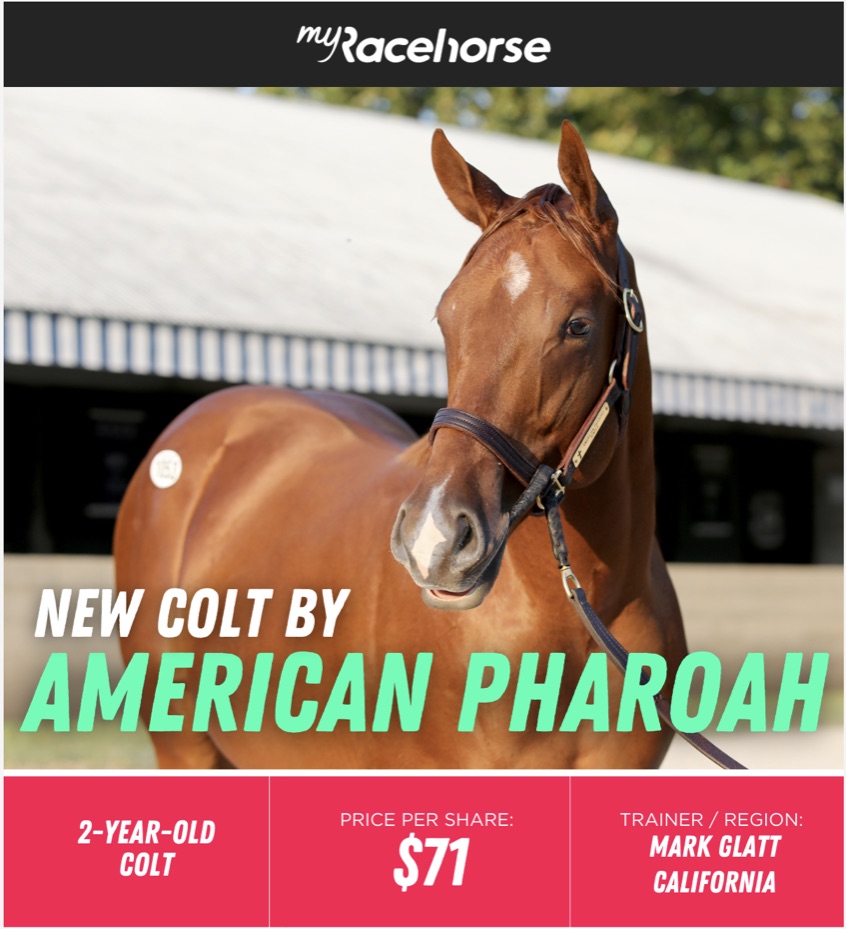 MyRacehorse launches offering of HnR bred 2 yo American Pharoah colt o/o Kindle