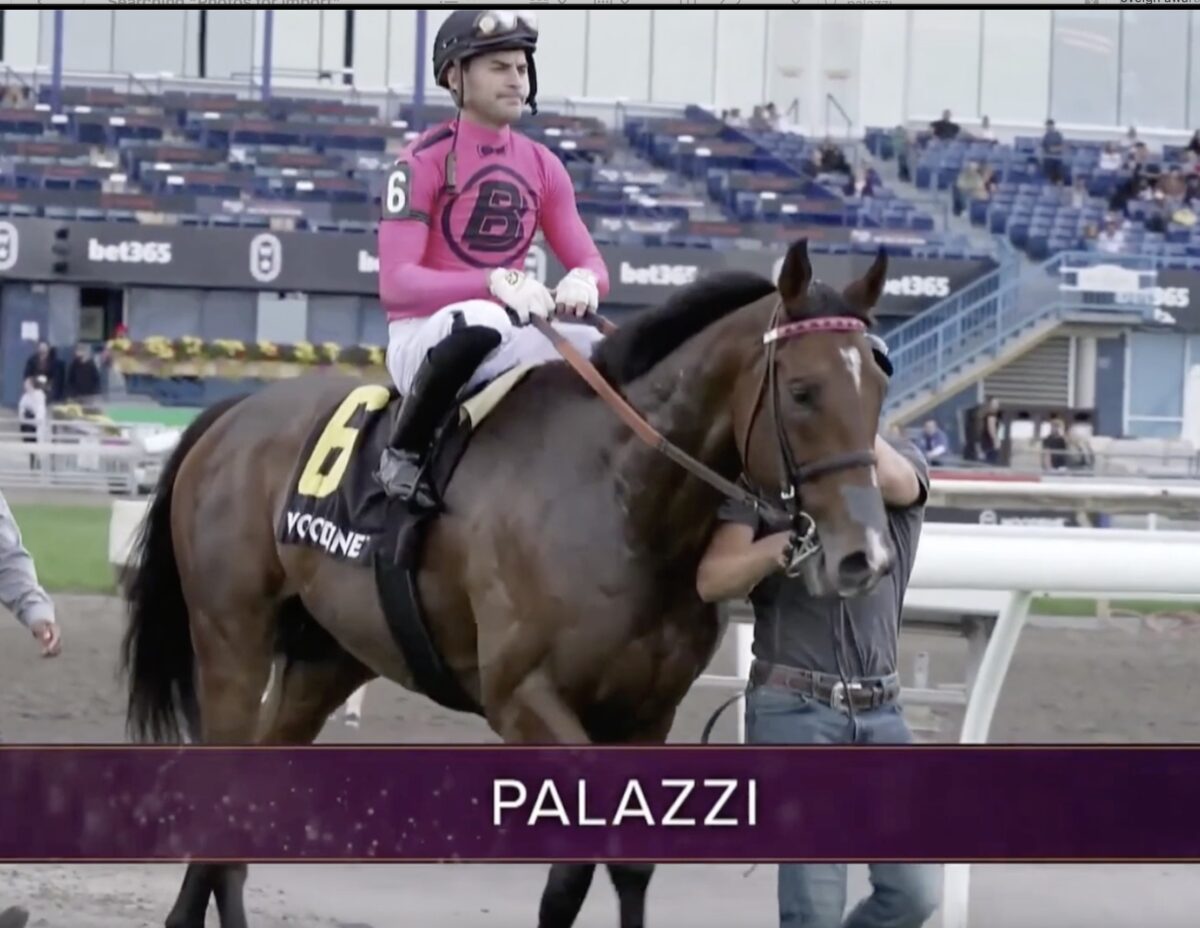 HnR bred Palazzi wins Grade 2 Bet365 Eclipse Stakes at Woodbine